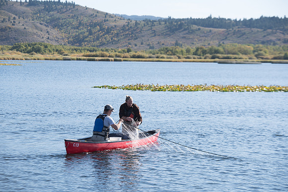 Students in the class of Principle of Fish Management,taught by Brother Billman, learn how to set gill nets to capture fish in the ponds at Sand Creek.