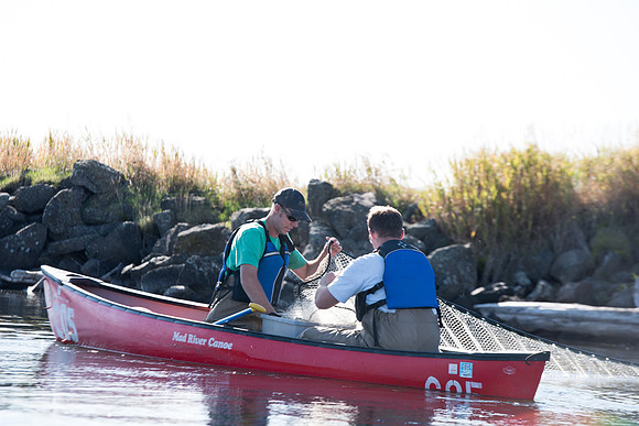 Students in the class of Principle of Fish Management,taught by Brother Billman, learn how to set gill nets to capture fish in the ponds at Sand Creek.