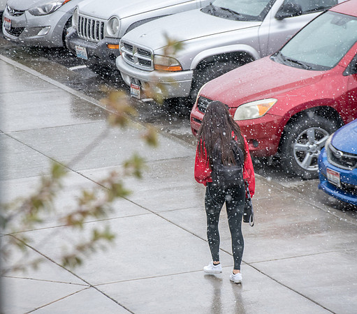 It's a blustery day outside.