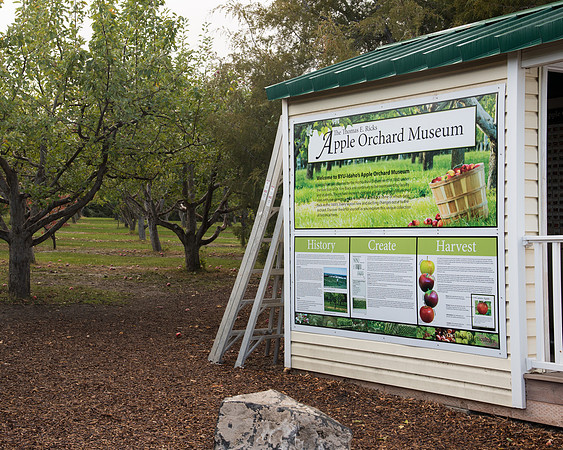 Ricks Horticulture garden apple orchard.