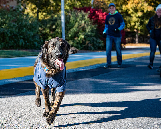 The Spirit Week Parade made a loop around campus, and had various campus organizations participating. Fall semester.
