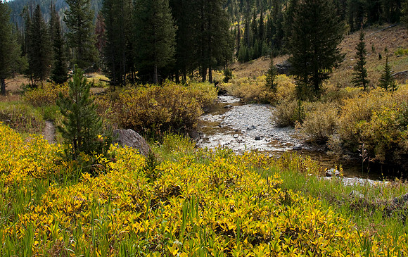 Targhee Creek Trail - Sept 2009