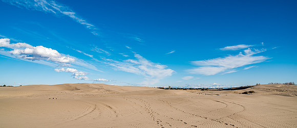 University Realations Photo excursion at the Sand Dunes. 2019