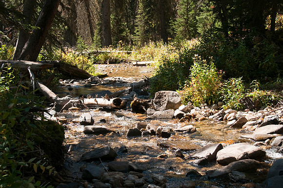 Targhee Creek Trail - Sept 2009