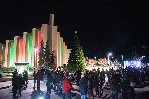 Taylor quad Christmas lights