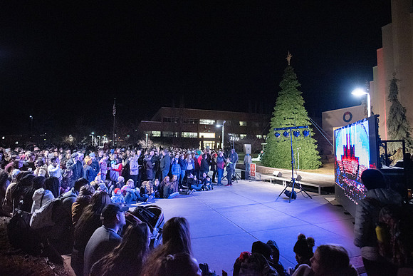 Taylor quad Christmas lights