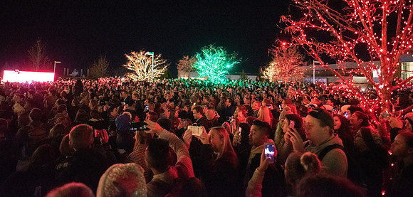Taylor quad Christmas lights