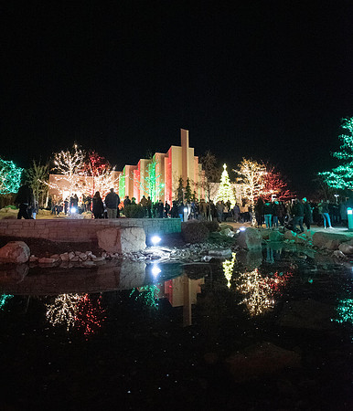 Taylor quad Christmas lights