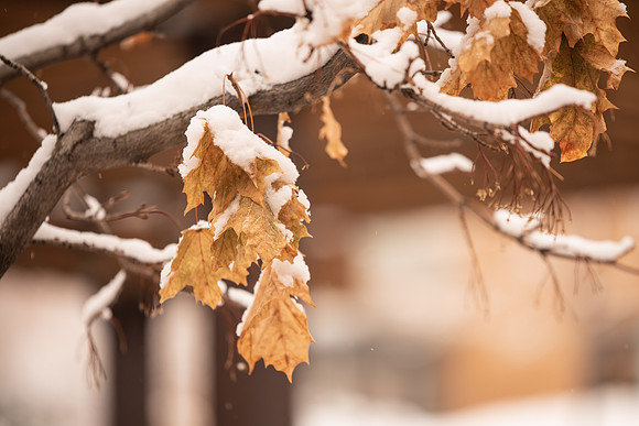 BYU-Idaho Campus during Winter. Fall Semester