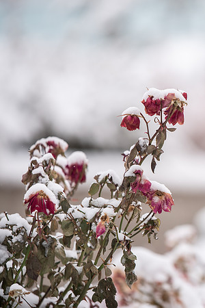 BYU-Idaho Campus during Winter. Fall Semester
