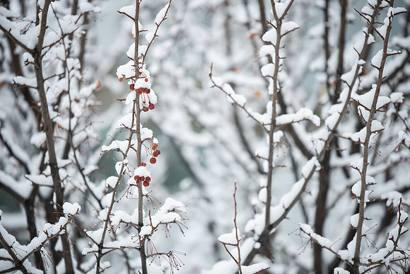 BYU-Idaho Campus during Winter. Fall Semester