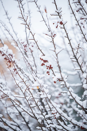 BYU-Idaho Campus during Winter. Fall Semester