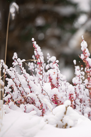 BYU-Idaho Campus during Winter. Fall Semester