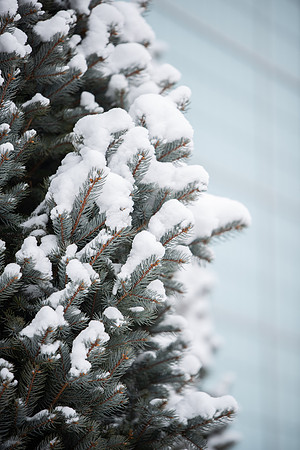 BYU-Idaho Campus during Winter. Fall Semester