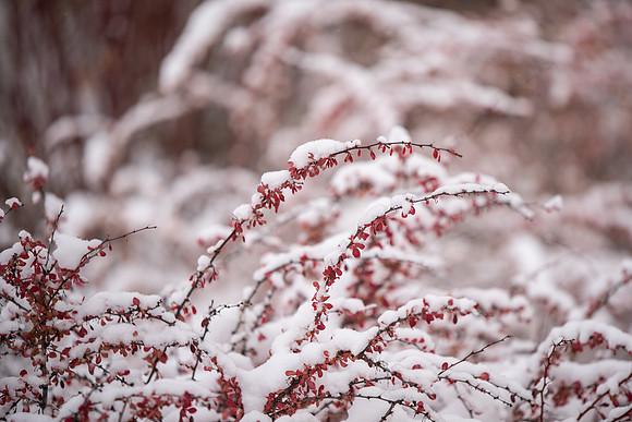 BYU-Idaho Campus during Winter. Fall Semester