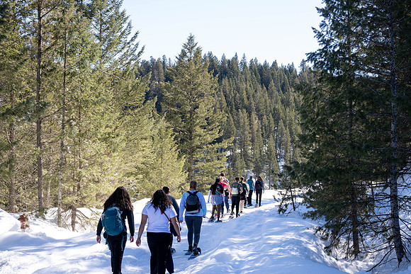Snowshoeing at Bear Gulch - Mar 2025