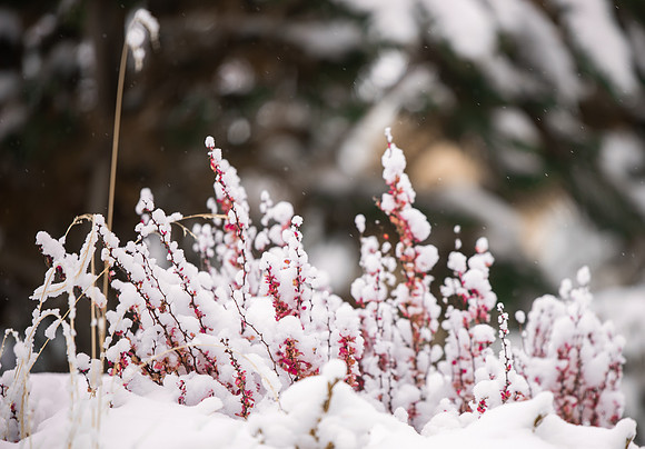 BYU-Idaho Campus during Winter. Fall Semester