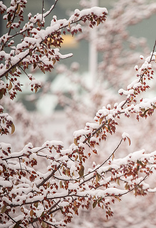 BYU-Idaho Campus during Winter. Fall Semester