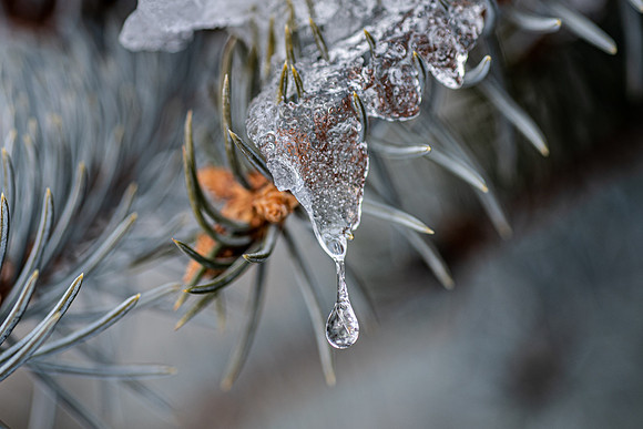 Campus winter scene.