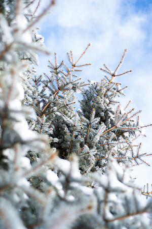 Campus winter scene.
