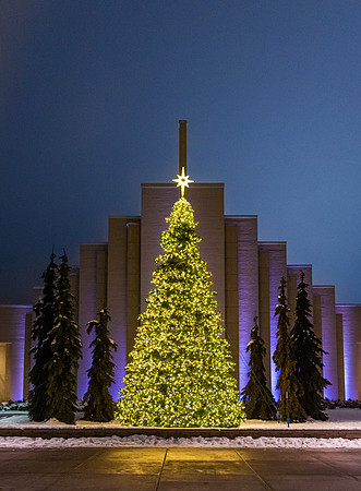 BYU-Idaho decorated for the Holidays. Taylor Quad is adorned with a new Christmas Tree.