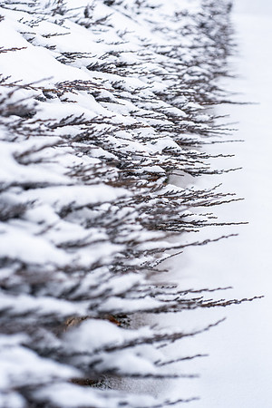 Winter semester view on campus.