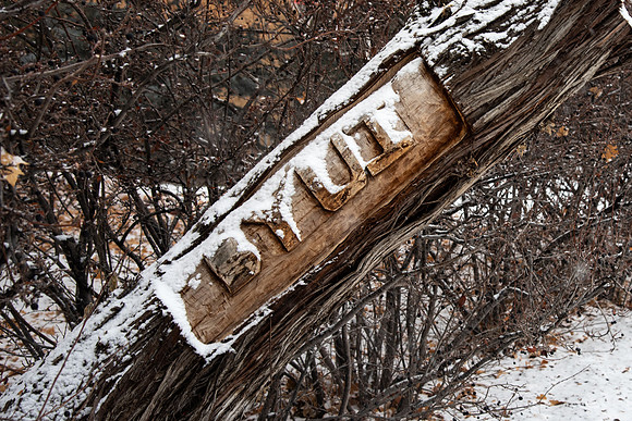 Fresh snow on a tree with an an engraving of BYUI on it.