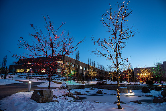 Christmas Lights on BYU-Idaho campus.