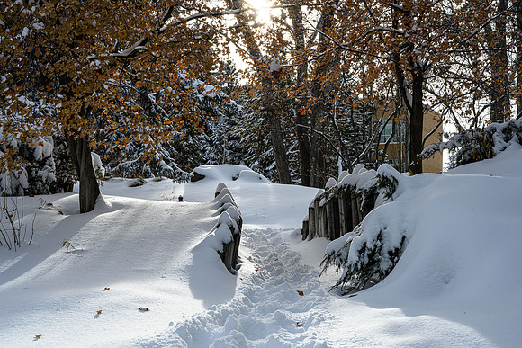 Winter scenes around campus during the holiday break.