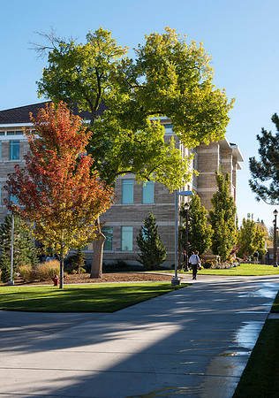 Colors of Autumn. Trees on campus show off their fall colors.