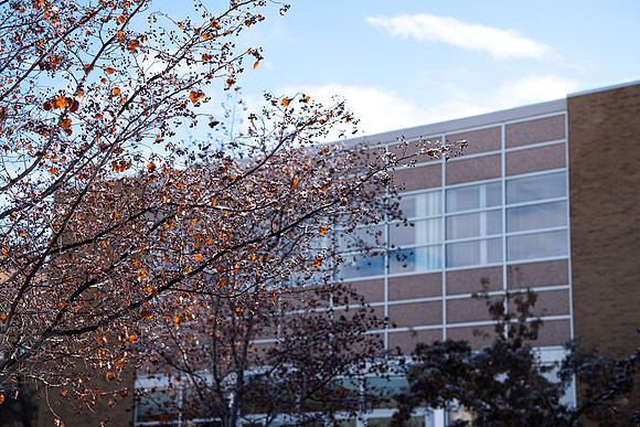 MacKay Library behind a tree with melting snow.
