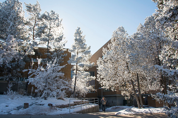 Frost covers campus early morning during Winter Semester.