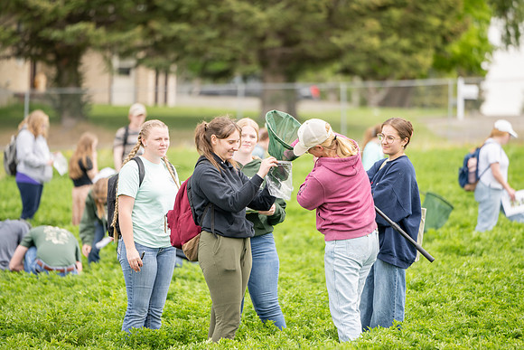 Teachers And Students Interactions - May 2025