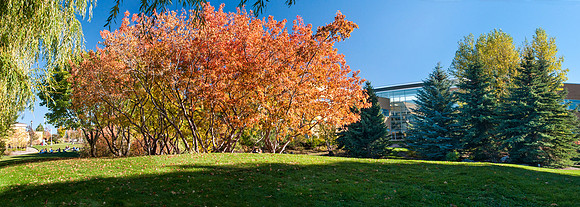 Ricks Horticulture Gardens - Oct 2010