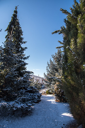 BYU-Idaho campus, a quiet place during the coronavirus pandemic. April 2020