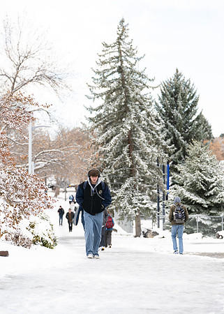 Campus Snow - Nov 2024