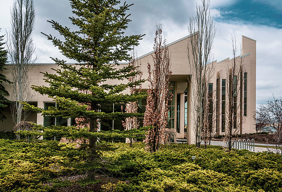 The Taylor building during spring break.