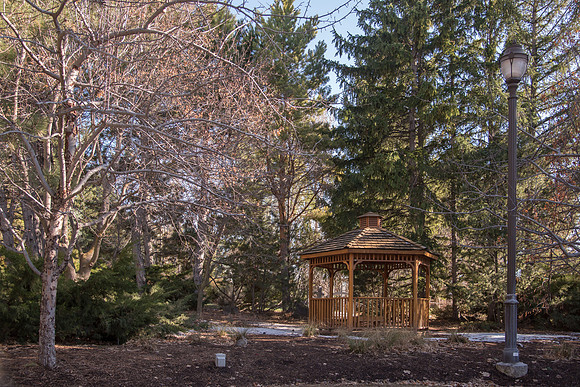 BYU-Idaho Ricks Gardens gazebo. Spring Break