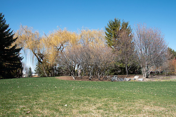 Ricks Garden before the trees bloom.