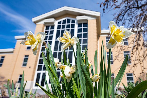 Campus - flowers - Aprl 2020