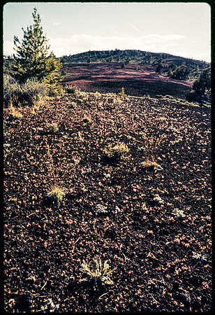 Craters of the Moon - June 1990