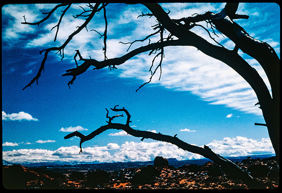 Craters of the Moon - June 1990