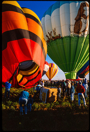 Teton Valley Balloon Festival North of Driggs, Idaho lifts off in Celebration of the 4th of July.