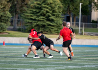 Rugby Championships.