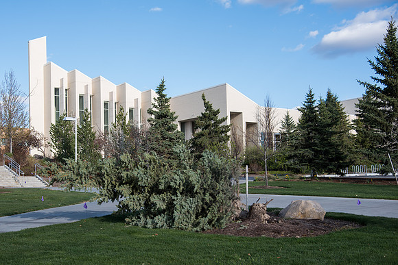 BYU-Idaho Campus during Spring and Coronavirus Lockdown. Due to strong winds a tree fell. Spring Semester
