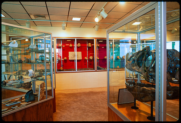 Geology Museum - Aug 1995
