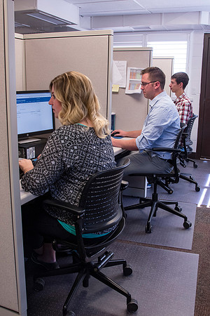 Employees work on developing a better curriculum for online students.