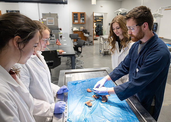 Animal Science Lab - April 2025