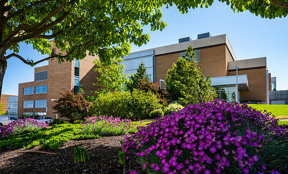 BYU-Idaho campus, well maintained with beautiful Dianthus flowers.