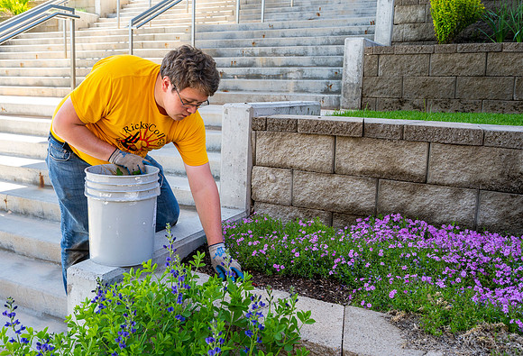 Grounds crew worker cleaning up the flower beds.